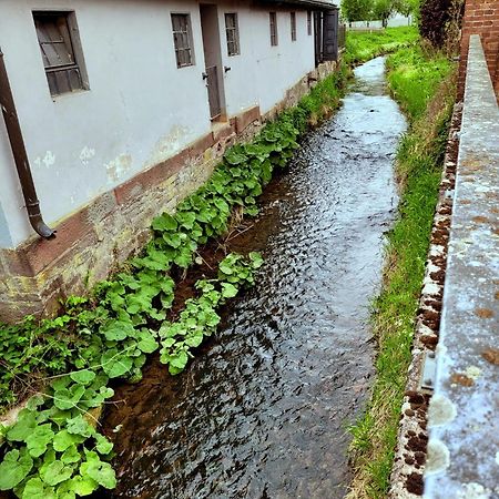 Ferienwohnung Zum Sollingtor Dassel Dış mekan fotoğraf