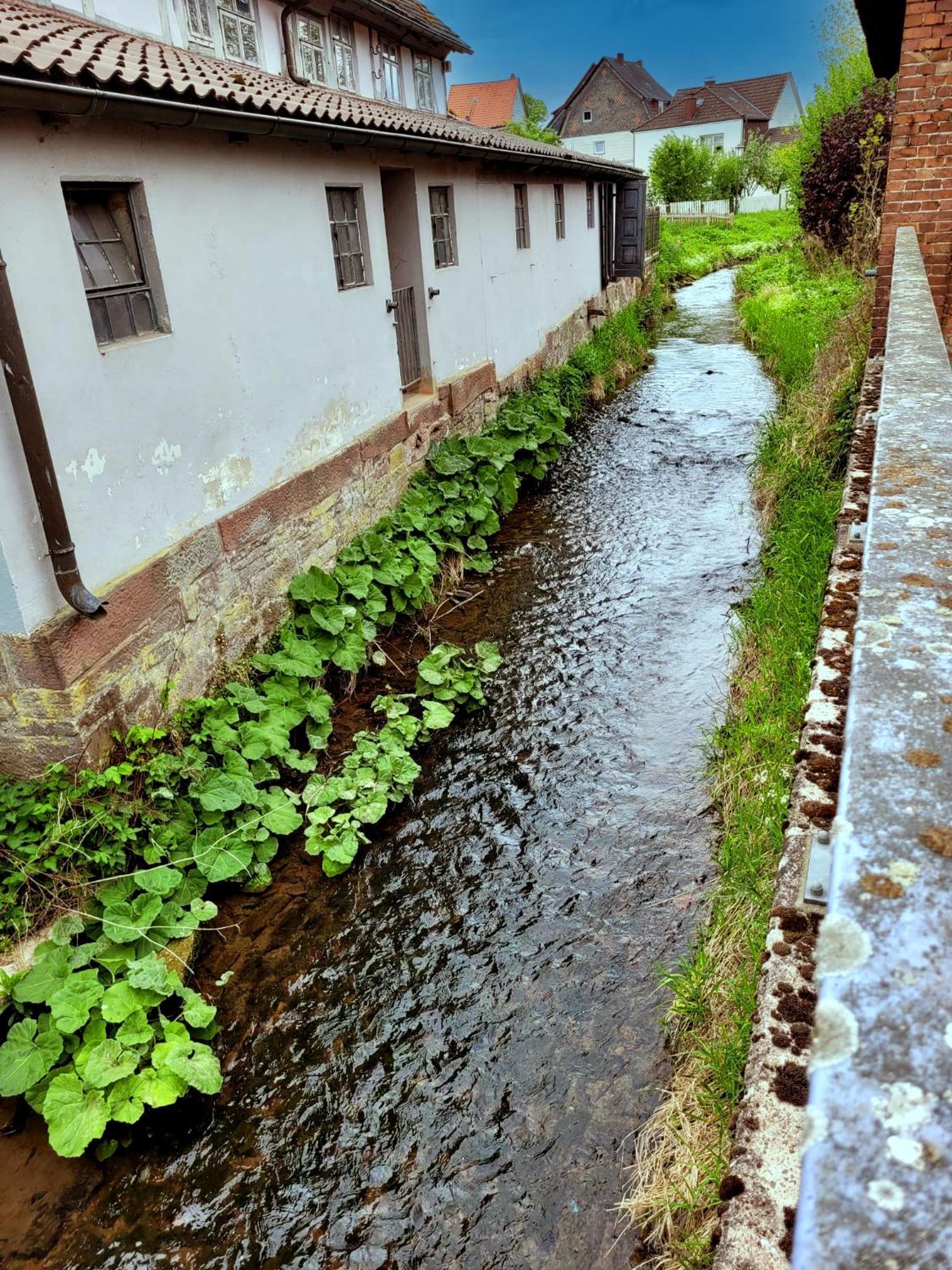 Ferienwohnung Zum Sollingtor Dassel Dış mekan fotoğraf