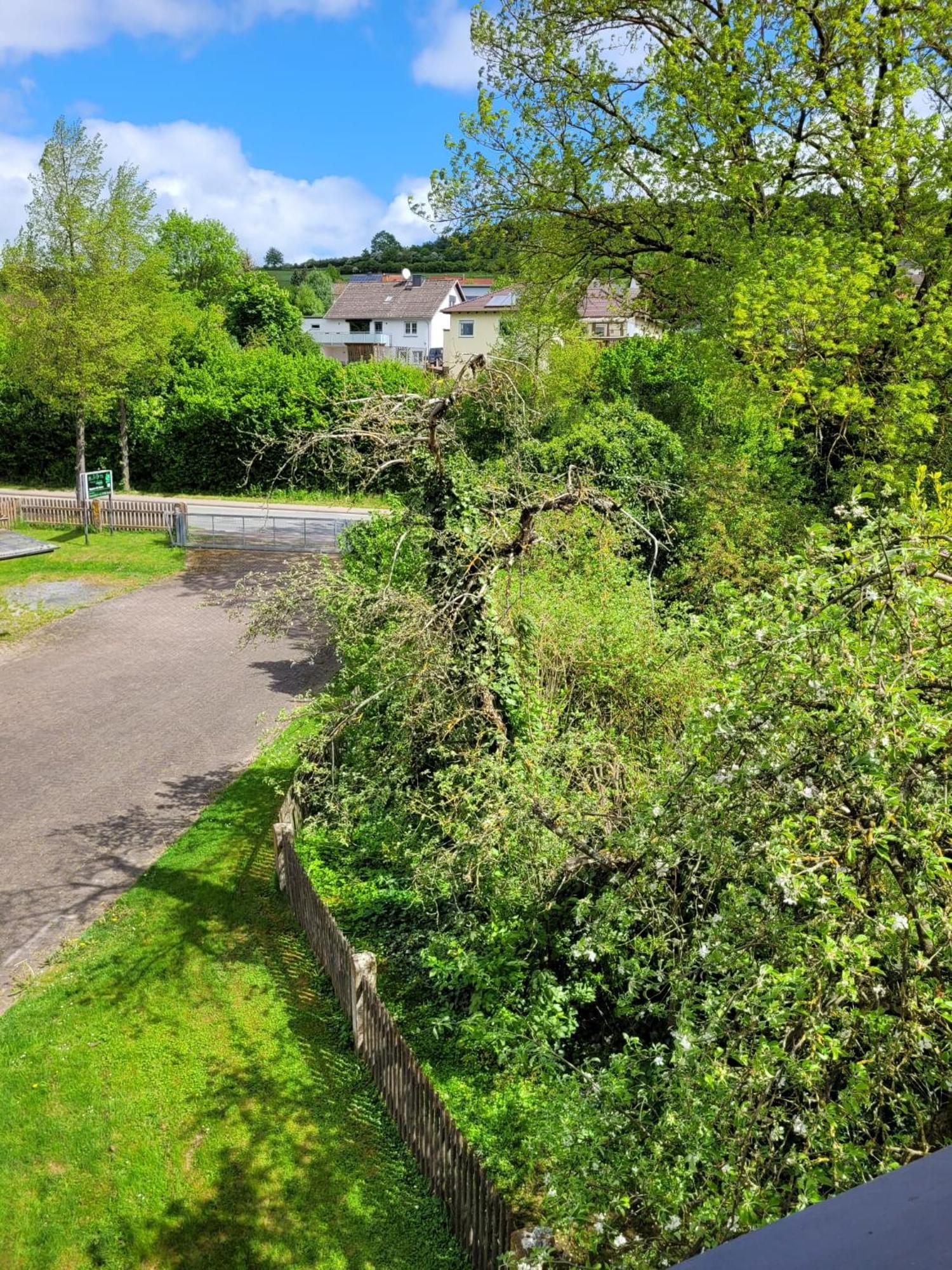 Ferienwohnung Zum Sollingtor Dassel Dış mekan fotoğraf